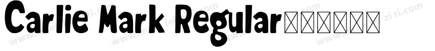 Carlie Mark Regular字体转换
